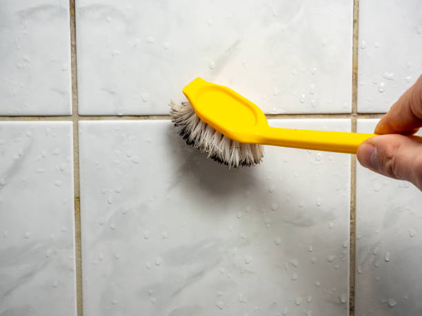 Best Same-Day Mold Removal  in Wyncote, PA