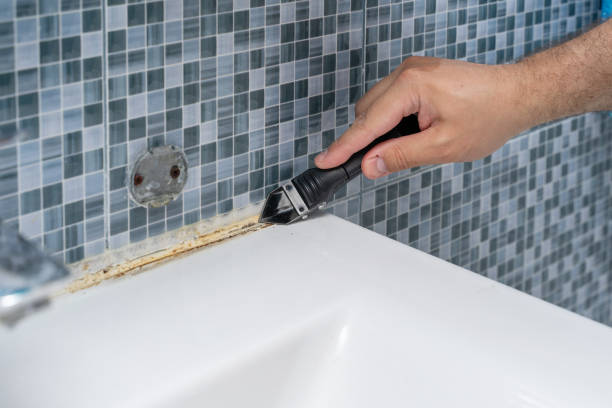 Best Mold Damage Repair  in Wyncote, PA