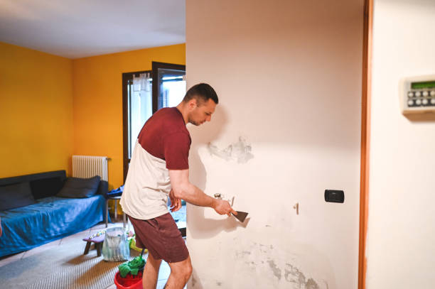 Best Commercial Mold Removal  in Wyncote, PA
